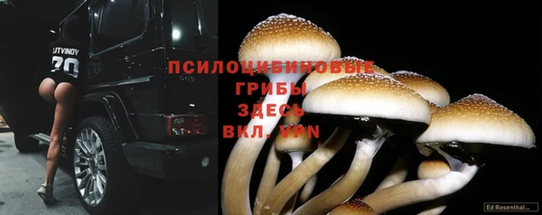 кокаин перу Алексин