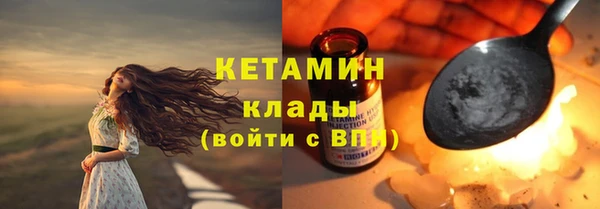 стаф Алзамай