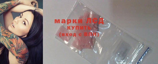 прущие грибы Алексеевка
