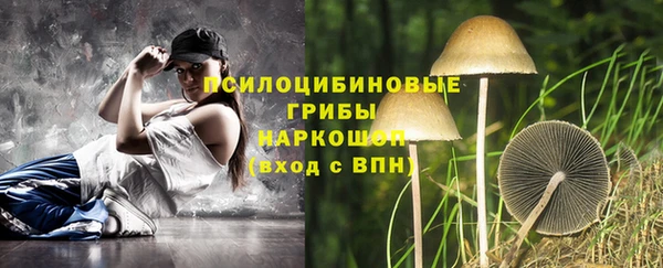 стаф Алзамай