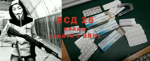 стаф Алзамай
