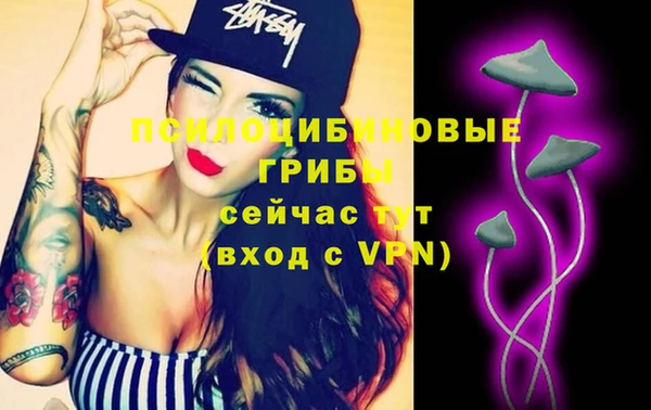 прущие грибы Алексеевка