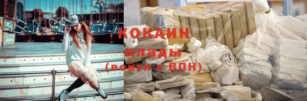 стаф Алзамай