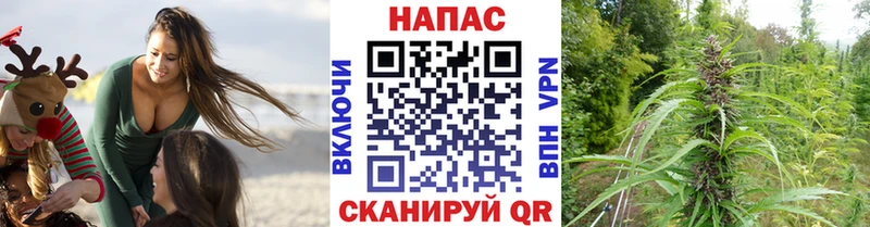 Каннабис Ganja  Пущино 